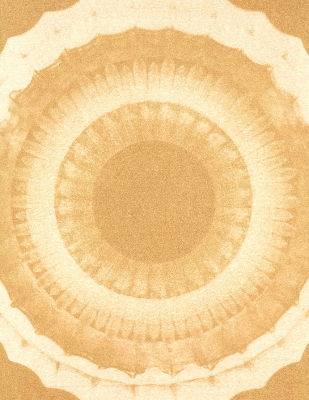 Desert Bauhaus X - Mandala Print