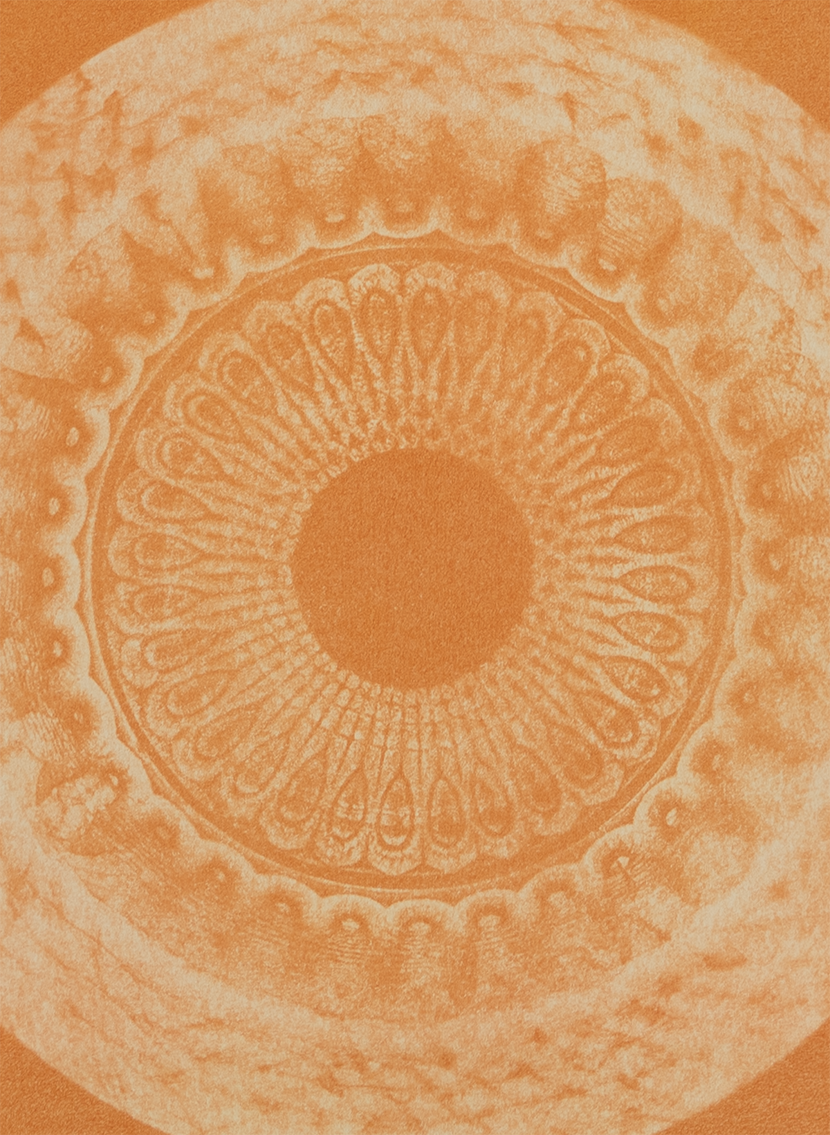Colombo, Sri Lanka - Mandala Print