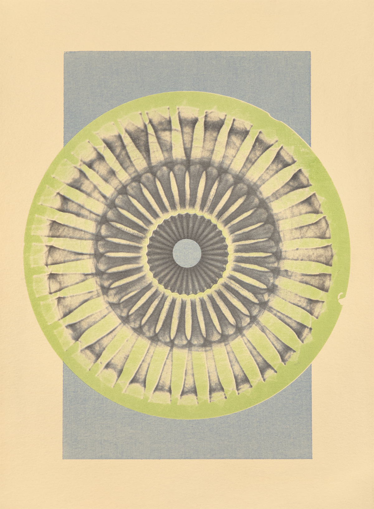 Tropical Bauhaus V - Mandala Print