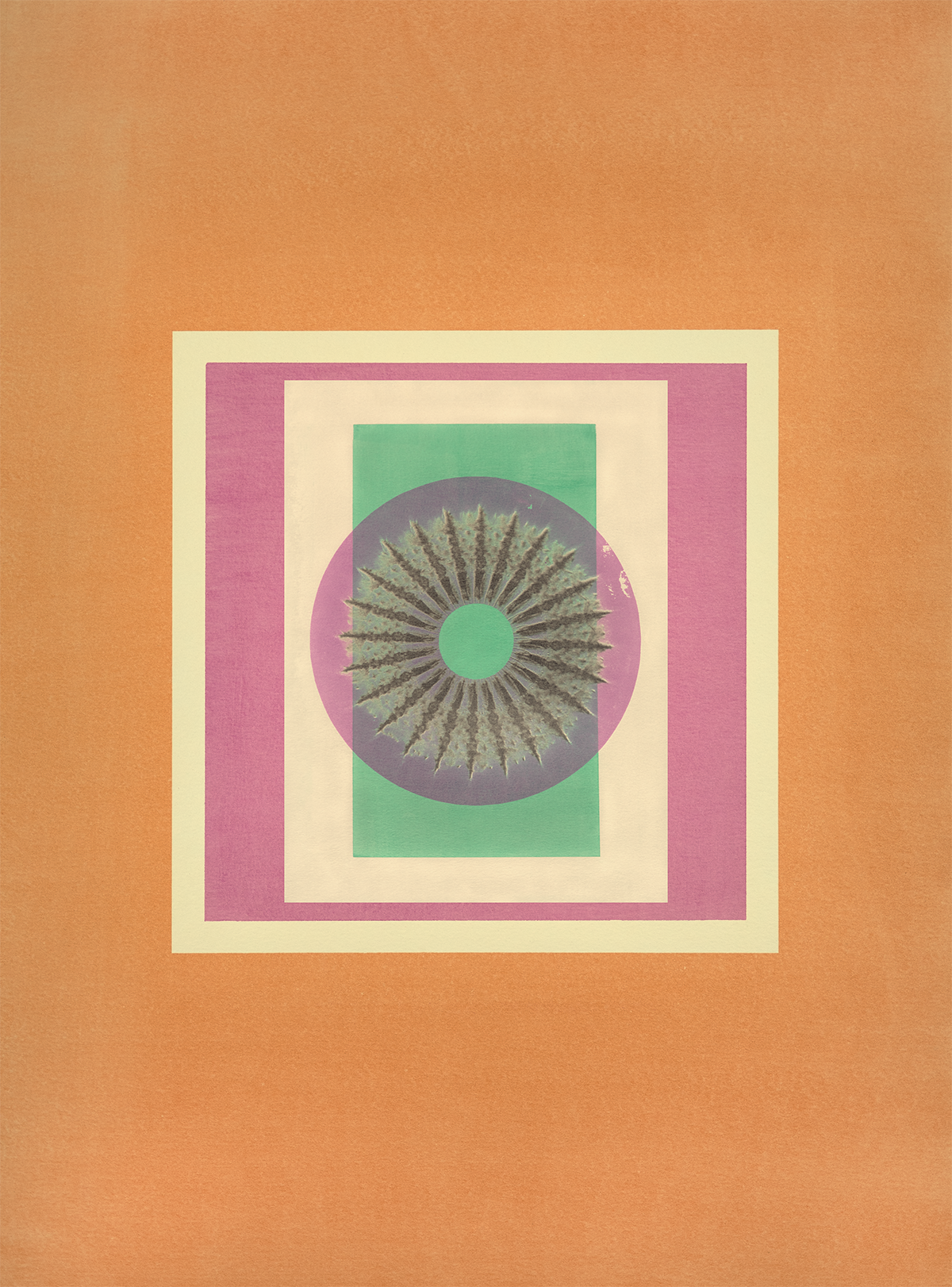 Tropical Bauhaus XI - Mandala Print