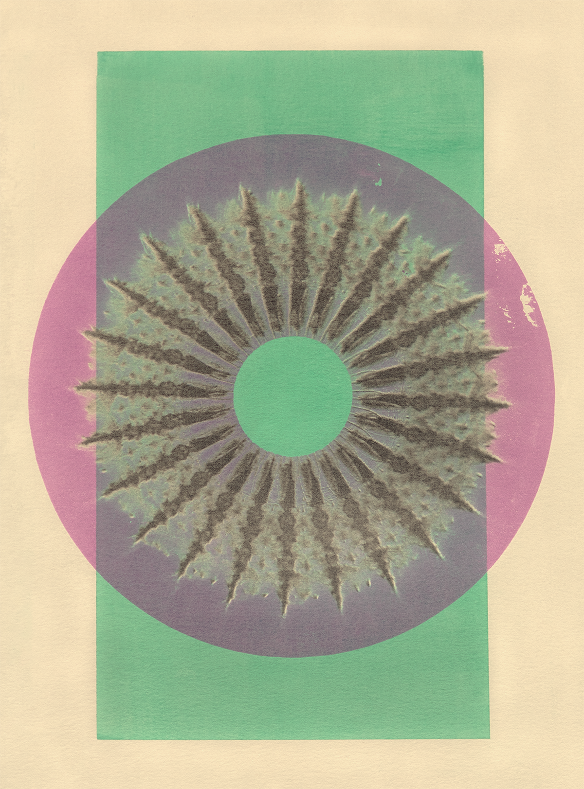 Tropical Bauhaus XI - Mandala Print